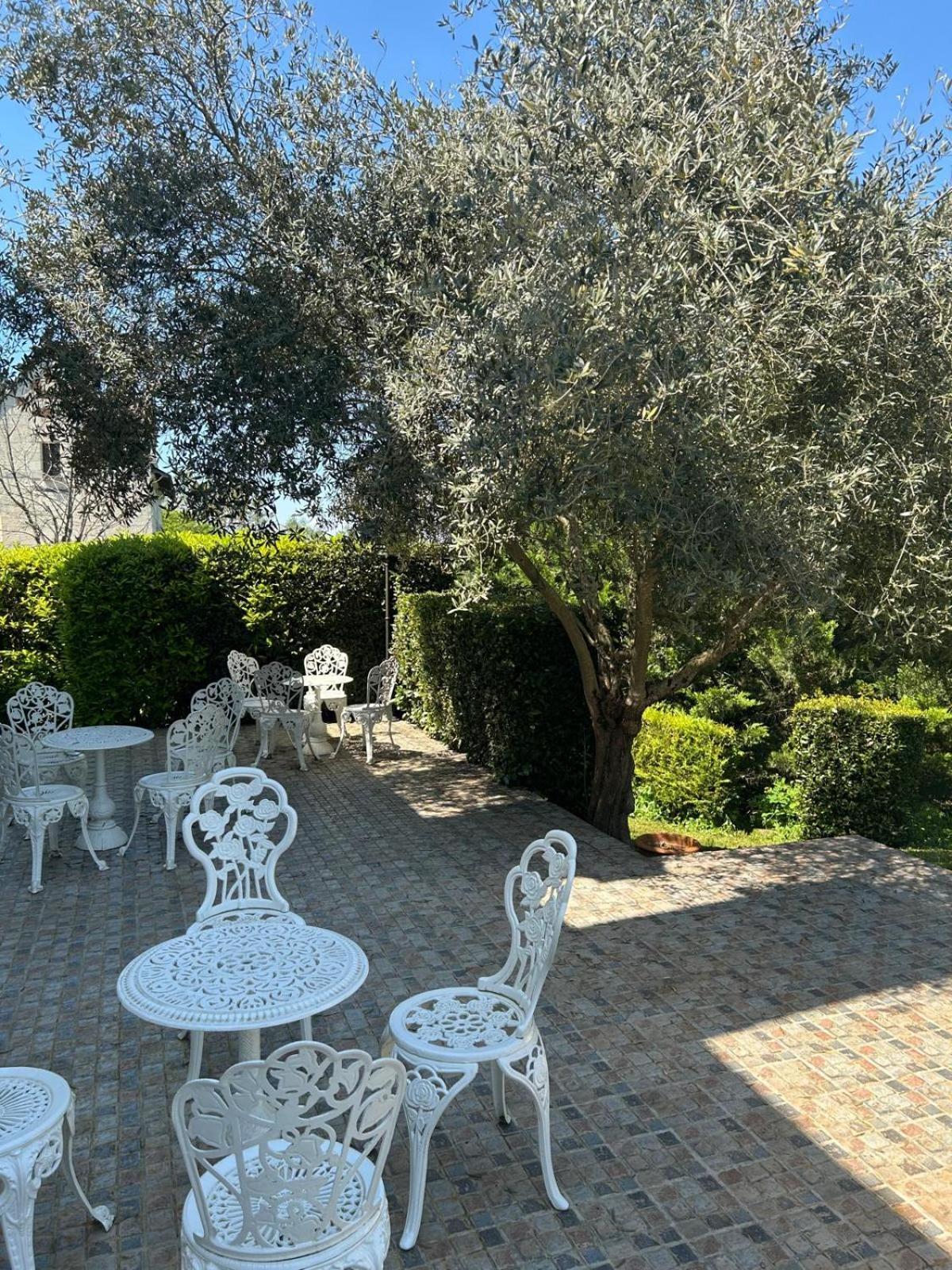 Logis Demeure De La Vignole Turquant Exterior foto